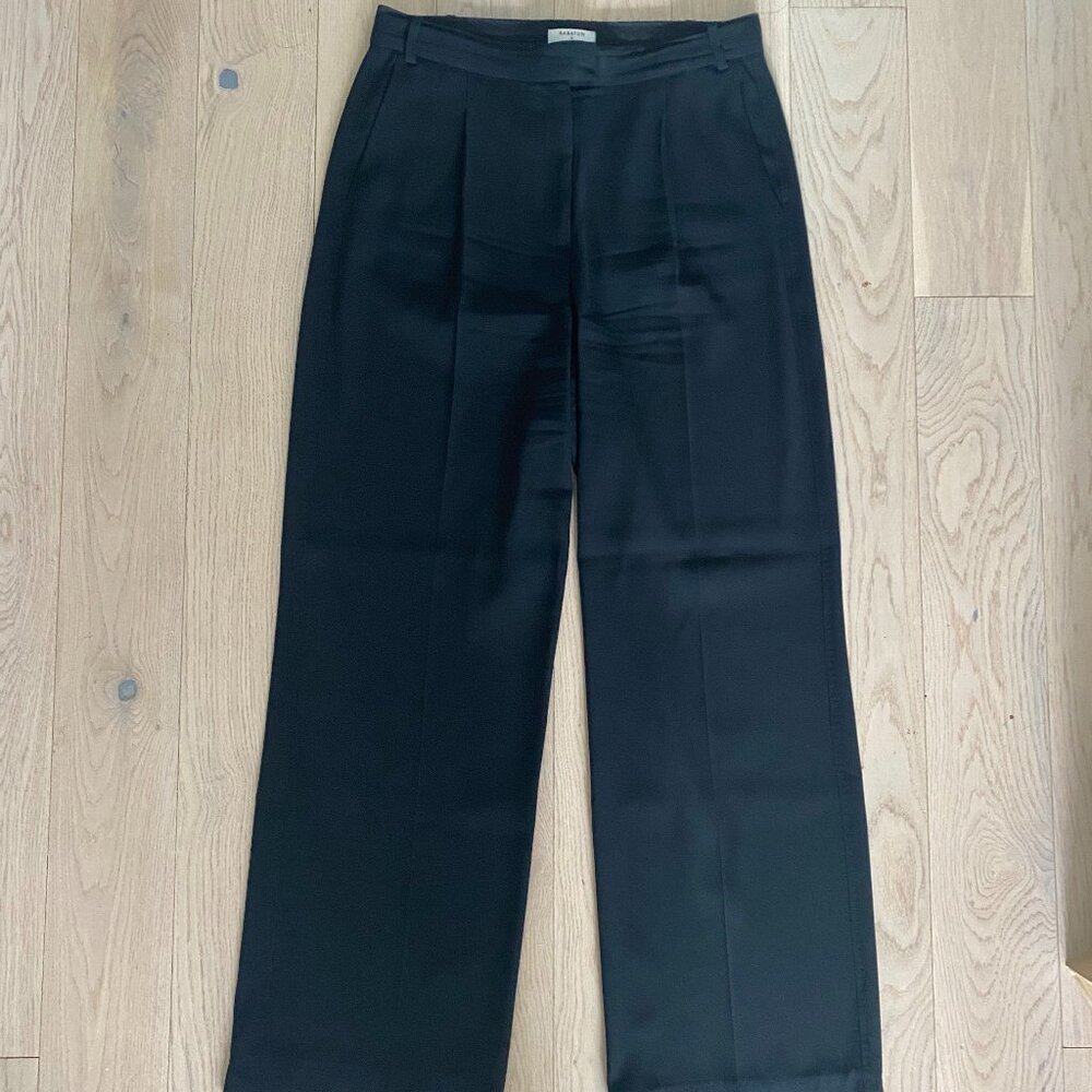 Aritzia Trouser